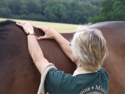 Fiona Webb performing Bowen therapy on a horse's back