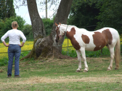 A lady standing nearby to a horse